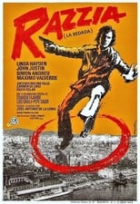 Poster de la película La redada