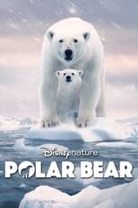 Poster de la película Polar Bear