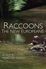 Poster de la película Raccoons: The New Europeans