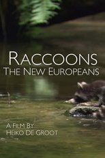 Poster de la película Raccoons: The New Europeans