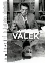 Poster de la película Válek