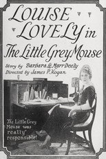 Poster de la película The Little Grey Mouse