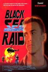 Poster de la película Black Sea Raid