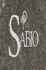 Poster de la serie O Sábio