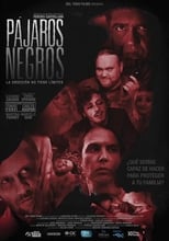 Poster de la película Pájaros negros