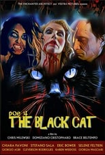 Poster de la película POE 4: The Black Cat