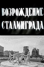 Poster de la película The Revival of Stalingrad