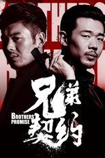 Poster de la película 兄弟契约