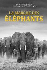 Poster de la serie Elefanten hautnah