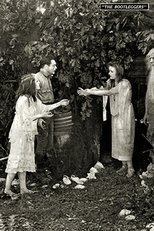 Poster de la película The Bootleggers