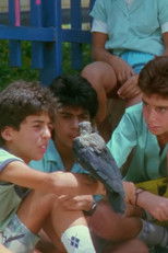 Poster de la película Mystery in Class