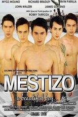 Poster de la película Mestizo: A Beautiful Boy
