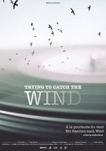 Poster de la película Trying to Catch the Wind