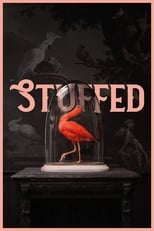 Poster de la película Stuffed