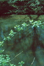 Poster de la película Prearranged Signal