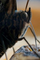 Poster de la película One Life