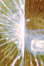 Poster de la película Destellos