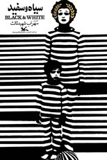 Poster de la película Black and White