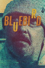 Poster de la película Bluebird