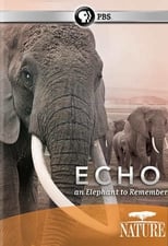 Poster de la película Echo: An Elephant to Remember