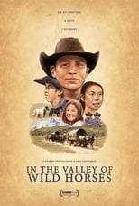 Poster de la película In the Valley Of Wild Horses