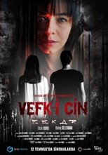 Poster de la película Vefk-i Cin Sekar