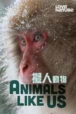 Poster de la serie Animals Like Us