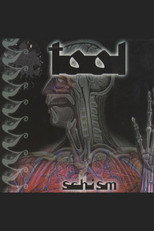 Poster de la película TOOL - Schism