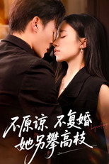 Poster de la serie 不原谅不复婚她另攀高枝