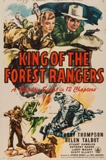 Poster de la película King of the Forest Rangers