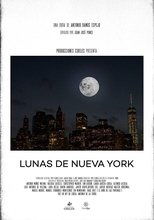 Poster de la película Lunas de Nueva York