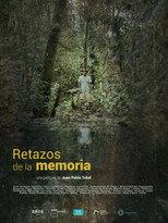 Poster de la película Remnants of memory