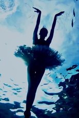 Poster de la película Bodrum Dream