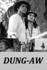 Poster de la película Dung-aw