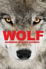 Poster de la película Wolf: Wanderer Without Borders