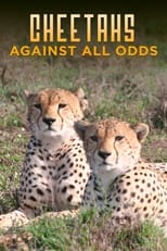 Poster de la película Cheetahs Against All Odds