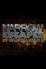 Poster de la serie Narrow Escapes of WWII