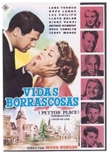 Poster de la película Vidas borrascosas