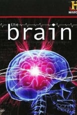 Poster de la película The Brain