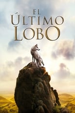 Poster de la película El último lobo