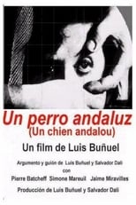 Poster de la película Un perro andaluz