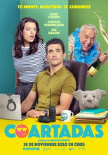 Poster de la película Coartadas