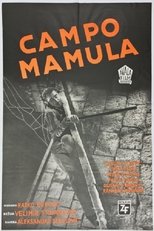 Poster de la película Mamula Camp