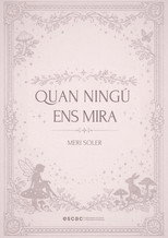 Poster de la película Quan ningú ens mira