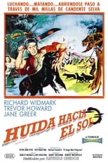 Poster de la película Huida hacia el sol