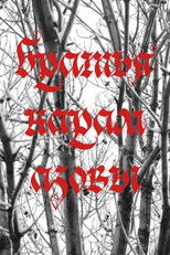 Poster de la película brothers karamazov