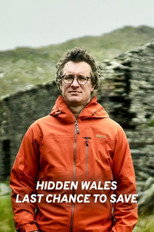 Poster de la película Hidden Wales: Last Chance to Save
