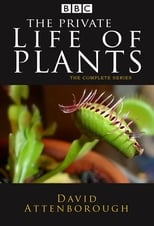 Poster de la serie The Private Life of Plants