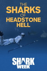 Poster de la película The Sharks Of Headstone Hell