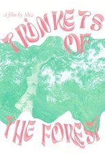 Poster de la película Trinkets of the forest